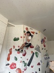 IMG 8862